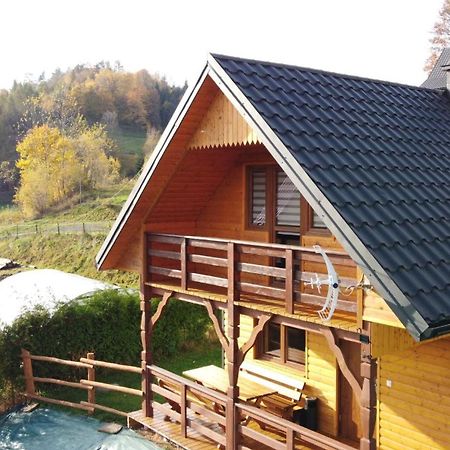 Gorzanka Domek Dzikusowka 1 Bieszczady Solina Polanczyk Zawoz Cisna מראה חיצוני תמונה
